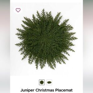 Kirkland’s Juniper Christmas Placemats (8)